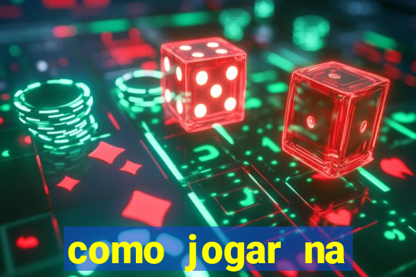 como jogar na lotinha do jogo do bicho